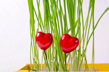 Similar image 21219638