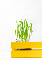 Similar image 21219642