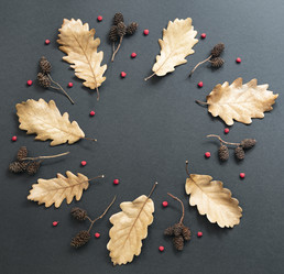 Similar image 21214464