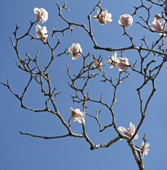 Similar image 21214478