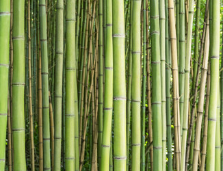 Similar image 21240062