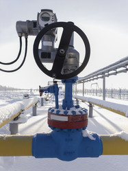 Similar image 21216714