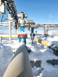 Similar image 21216715