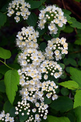 Similar image 21215082