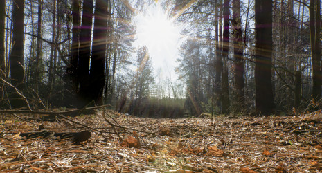 Similar image 21219956