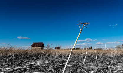 Similar image 21219957