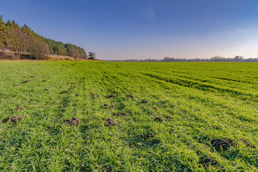 Similar image 21219958