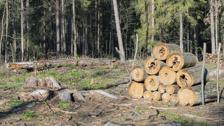 Similar image 21219961