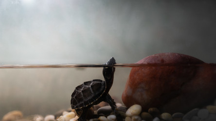 Similar image 21219977