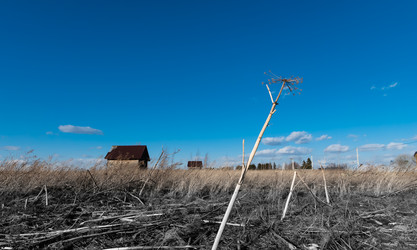 Similar image 21219984