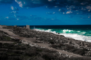 Similar image 21219996