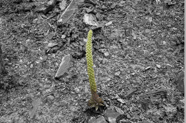 Similar image 21220003