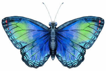 Similar image 21234144