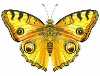 Similar image 21234145