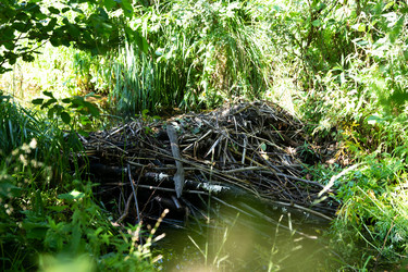 Similar image 21220015