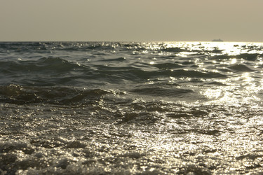 Similar image 21220016