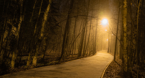 Similar image 21220019