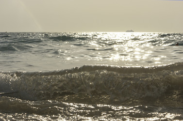 Similar image 21220026