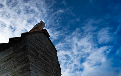 Similar image 21220032