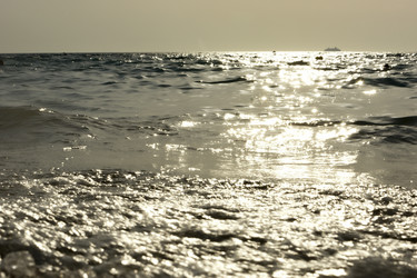 Similar image 21220033