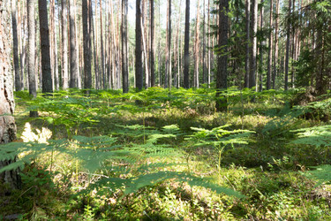 Similar image 21220035