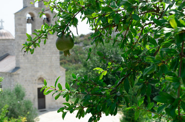 Similar image 21220036