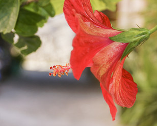 Similar image 21220042