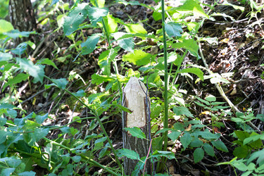 Similar image 21220047