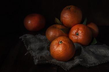 Similar image 21219679