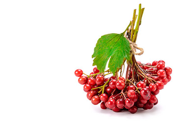 Similar image 21219680