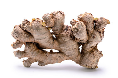 Similar image 21219686