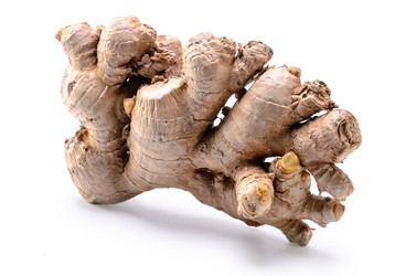 Similar image 21219687