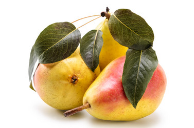 Similar image 21219753