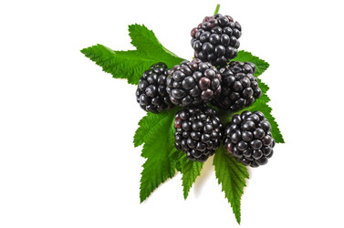 Similar image 21219756