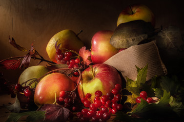 Similar image 21219759