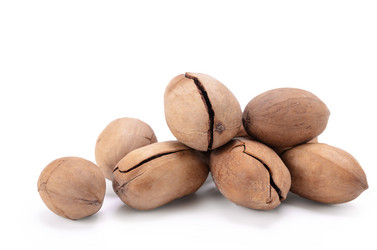 Similar image 21219763