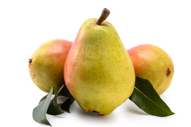 Similar image 21219770