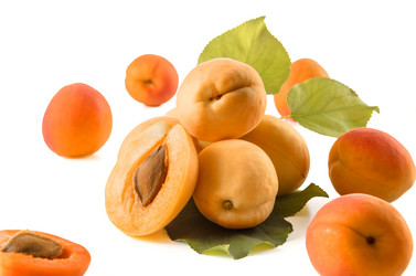 Similar image 21219775