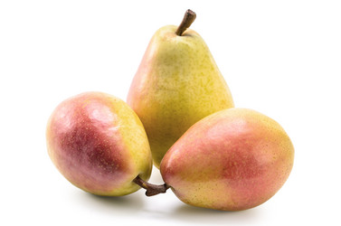 Similar image 21219781