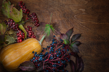 Similar image 21219784