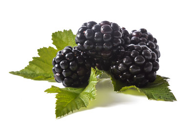 Similar image 21219785