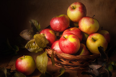 Similar image 21219787