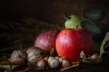 Similar image 21219789