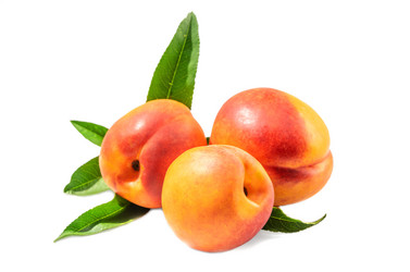 Similar image 21219790