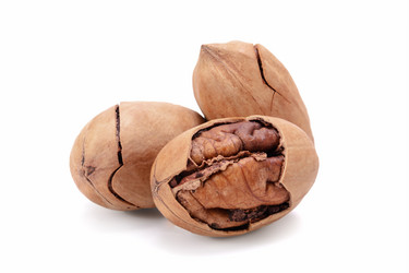 Similar image 21219792