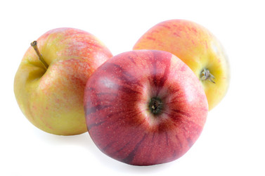 Similar image 21219793