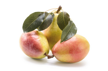 Similar image 21219794