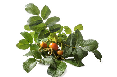 Similar image 21219801