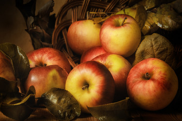 Similar image 21219803