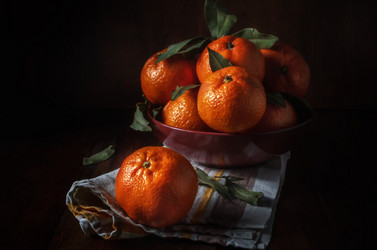 Similar image 21219805